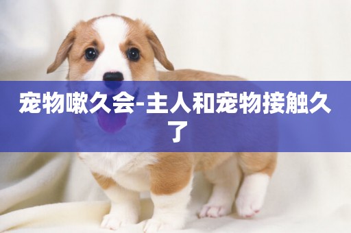 寵物嗽久會-主人和寵物接觸久了