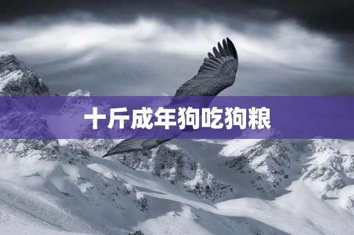 十斤成年狗吃狗糧