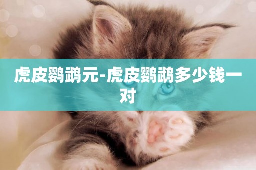 虎皮鸚鵡元-虎皮鸚鵡多少錢一對
