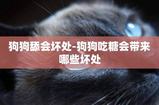 狗狗舔會壞處-狗狗吃糖會帶來哪些壞處