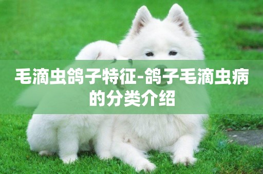 毛滴蟲鴿子特征-鴿子毛滴蟲病的分類介紹
