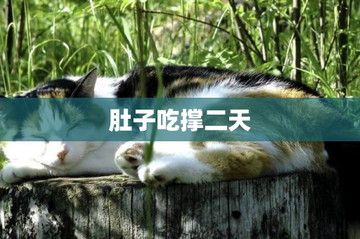 肚子吃撐二天