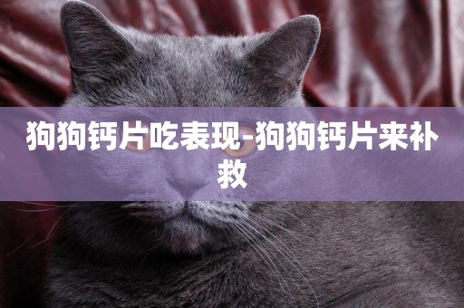 狗狗鈣片吃表現-狗狗鈣片來補救
