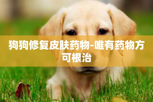 狗狗修復皮膚藥物-唯有藥物方可根治