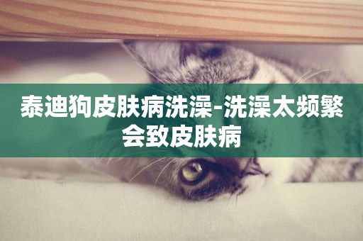 泰迪狗皮膚病洗澡-洗澡太頻繁會致皮膚病