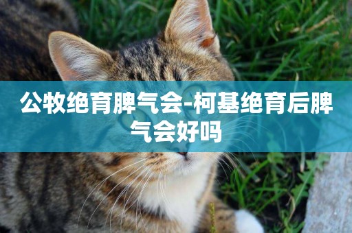 公牧絕育脾氣會-柯基絕育后脾氣會好嗎
