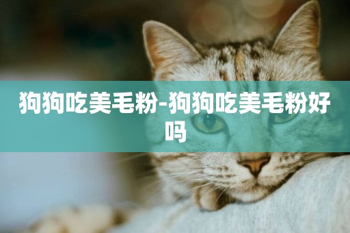 狗狗吃美毛粉-狗狗吃美毛粉好嗎