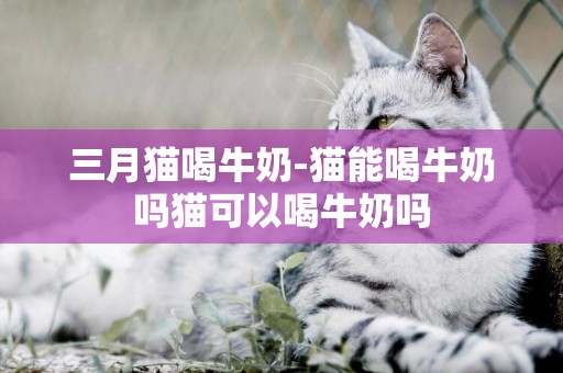 三月貓喝牛奶-貓能喝牛奶嗎貓可以喝牛奶嗎