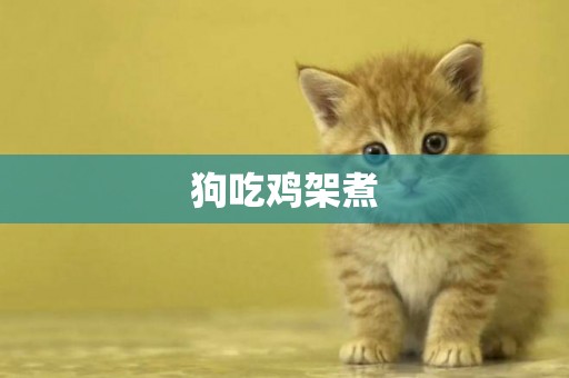 狗吃雞架煮