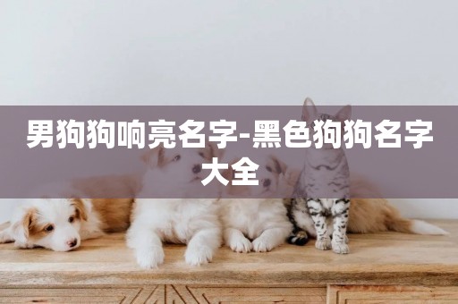 男狗狗響亮名字-黑色狗狗名字大全