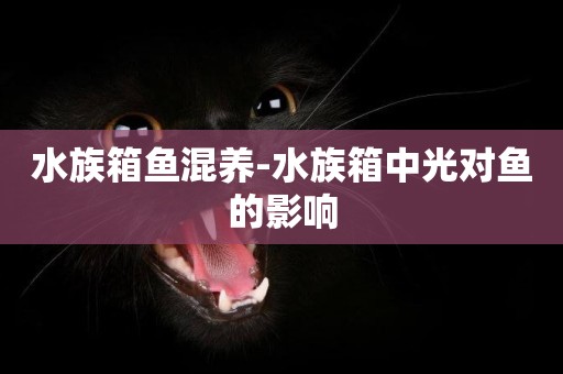 水族箱魚混養-水族箱中光對魚的影響