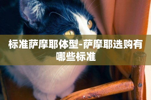 標準薩摩耶體型-薩摩耶選購有哪些標準