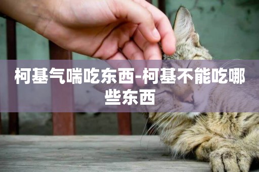 柯基氣喘吃東西-柯基不能吃哪些東西