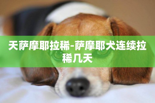 天薩摩耶拉稀-薩摩耶犬連續拉稀幾天