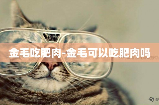 金毛吃肥肉-金毛可以吃肥肉嗎