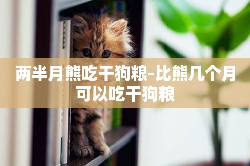兩半月熊吃干狗糧-比熊幾個月可以吃干狗糧