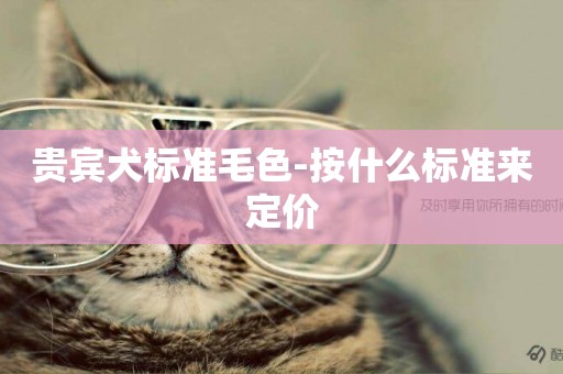貴賓犬標準毛色-按什么標準來定價