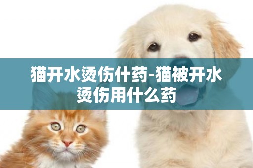 貓開水燙傷什藥-貓被開水燙傷用什么藥