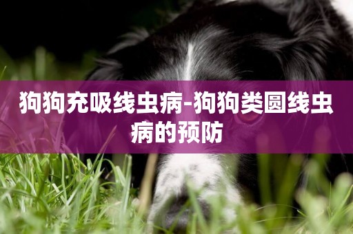 狗狗充吸線蟲病-狗狗類圓線蟲病的預防