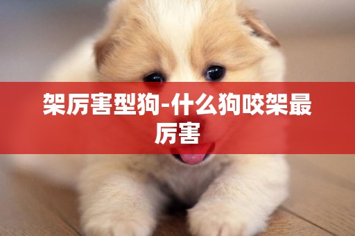 架厲害型狗-什么狗咬架最厲害