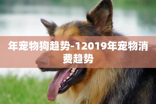 年寵物狗趨勢-12019年寵物消費趨勢