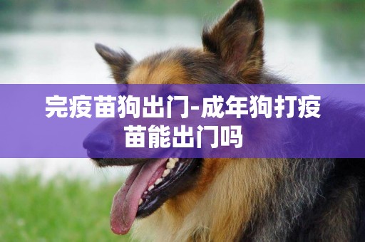 完疫苗狗出門-成年狗打疫苗能出門嗎