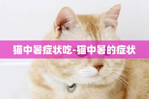 貓中暑癥狀吃-貓中暑的癥狀