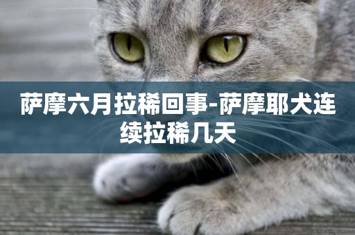 薩摩六月拉稀回事-薩摩耶犬連續拉稀幾天