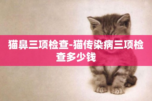 貓鼻三項檢查-貓傳染病三項檢查多少錢