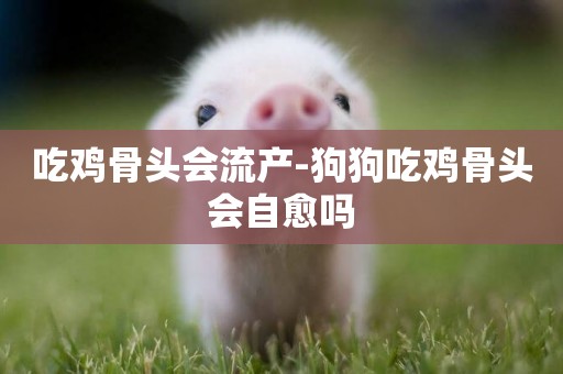 吃雞骨頭會流產-狗狗吃雞骨頭會自愈嗎