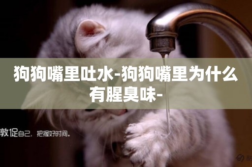 狗狗嘴里吐水-狗狗嘴里為什么有腥臭味-
