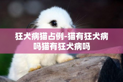 狂犬病貓占例-貓有狂犬病嗎貓有狂犬病嗎