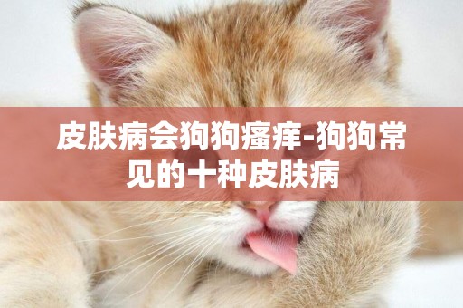 皮膚病會狗狗瘙癢-狗狗常見的十種皮膚病