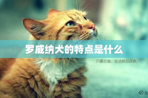 羅威納犬的特點是什么