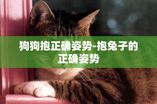 狗狗抱正確姿勢-抱兔子的正確姿勢