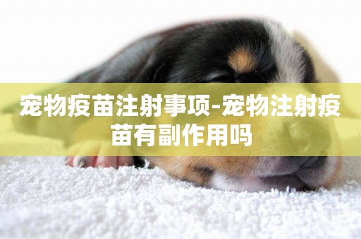 寵物疫苗注射事項-寵物注射疫苗有副作用嗎