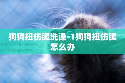 狗狗扭傷腿洗澡-1狗狗扭傷腿怎么辦
