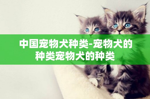 中國寵物犬種類-寵物犬的種類寵物犬的種類