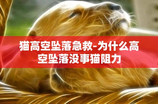 貓高空墜落急救-為什么高空墜落沒事貓阻力