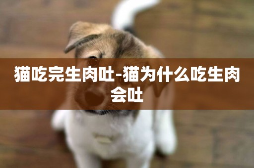 貓吃完生肉吐-貓為什么吃生肉會吐