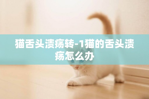 貓舌頭潰瘍轉-1貓的舌頭潰瘍怎么辦
