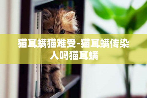 貓耳螨貓難受-貓耳螨傳染人嗎貓耳螨