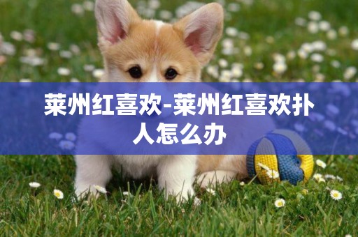 萊州紅喜歡-萊州紅喜歡撲人怎么辦