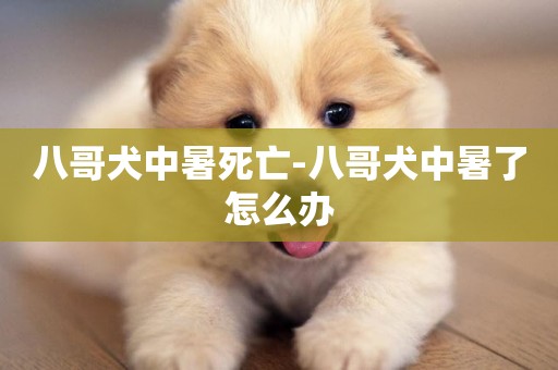 八哥犬中暑死亡-八哥犬中暑了怎么辦