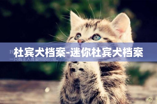 杜賓犬檔案-迷你杜賓犬檔案