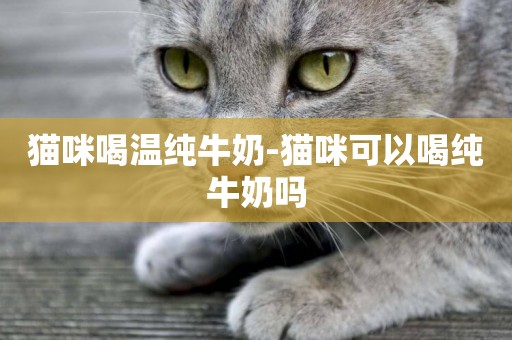 貓咪喝溫純牛奶-貓咪可以喝純牛奶嗎