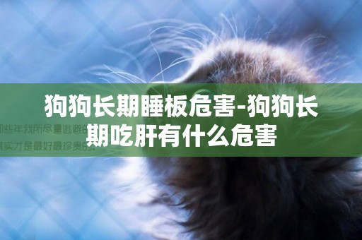 狗狗長期睡板危害-狗狗長期吃肝有什么危害