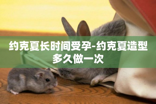 約克夏長時間受孕-約克夏造型多久做一次