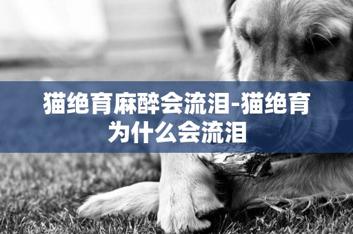 貓絕育麻醉會流淚-貓絕育為什么會流淚