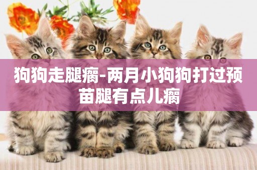 狗狗走腿瘸-兩月小狗狗打過預苗腿有點兒瘸